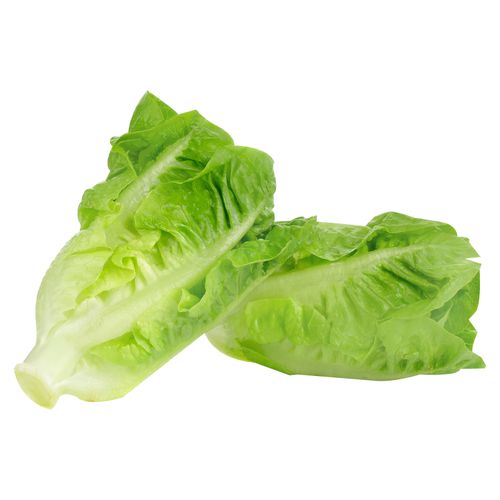 Lechuga Hortifruti Romana - Precio indicado por unidad