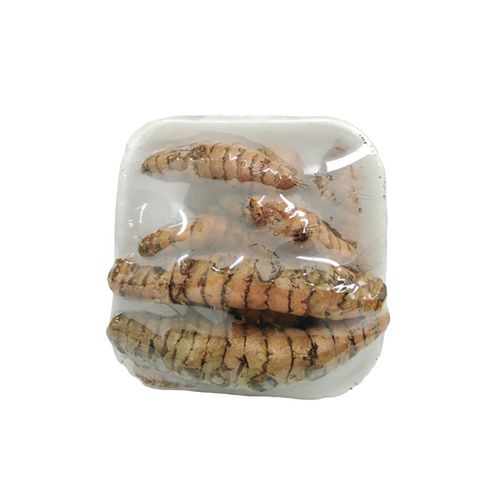 Curcuma Bandeja