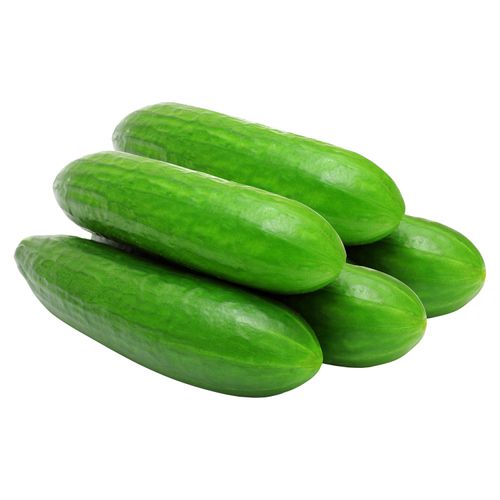 Pepino Red Hortifruti - 5 Unds