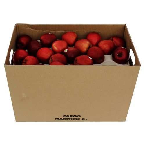 Manzana Hortifruti Roja en Caja - 40 lb