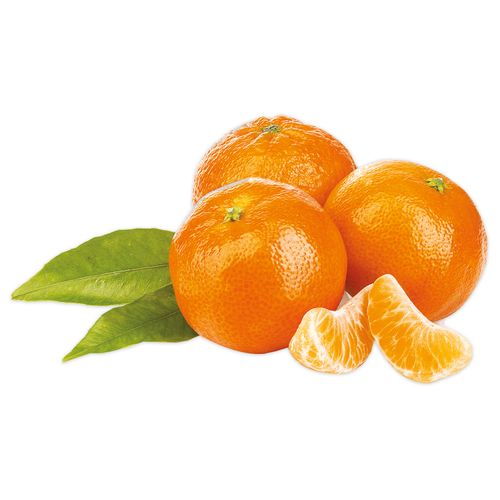 Mandarina Clementina Libra