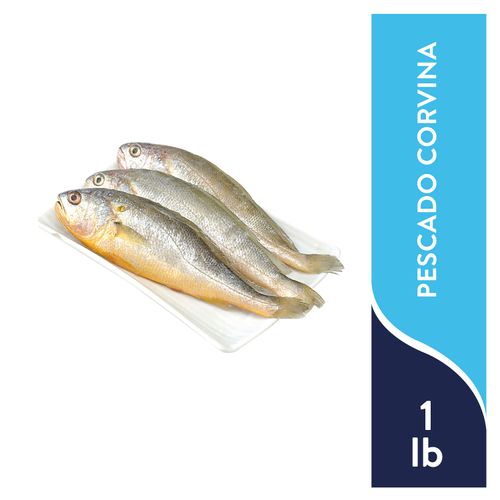 Pescado Corvina Congelado Granel Lb