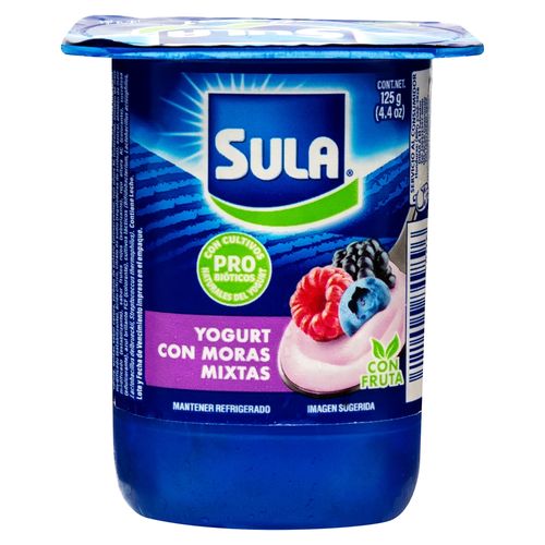 Yogurt Moras Mixtas Sula Bisignan - 125 g