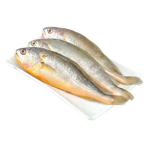 Pescado Plateado  Congelado Granel - lb