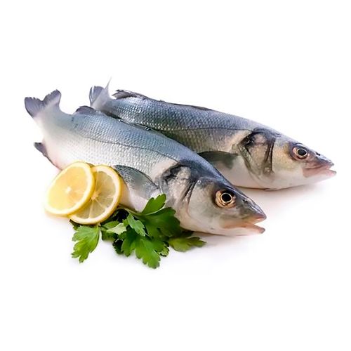 Pescado Robalo  Congelado Granel Lb