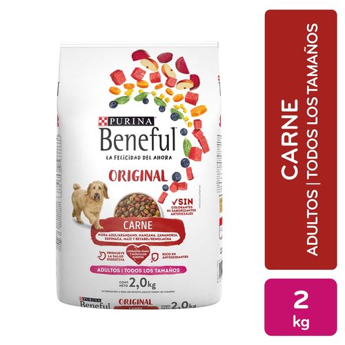 Comida para perro adulto Beneful sabor carne 2 kg