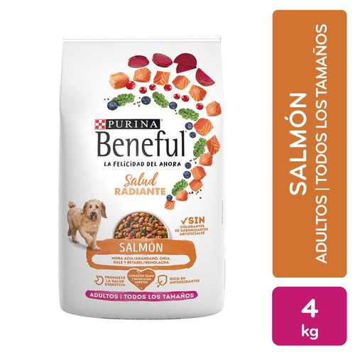 Comida para perro adulto Beneful sabor salmón 4 kg