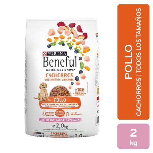 Comida para cachorro Beneful sabor pollo 2 kg