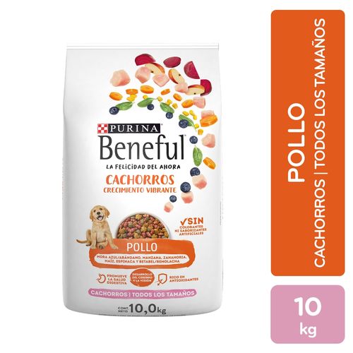 Comida para cachorro Beneful sabor pollo 10 kg