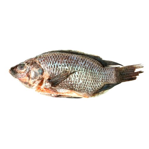 Tilapia Gris Sin Escama Don Cristobal Granel- Precio Indicado Por Libra