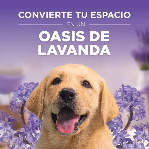 Pap Hig Scott Esencia Relax 6 Unidad 320h 2p