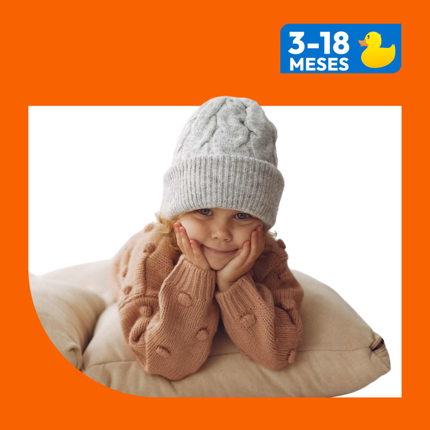 3 a 18 meses