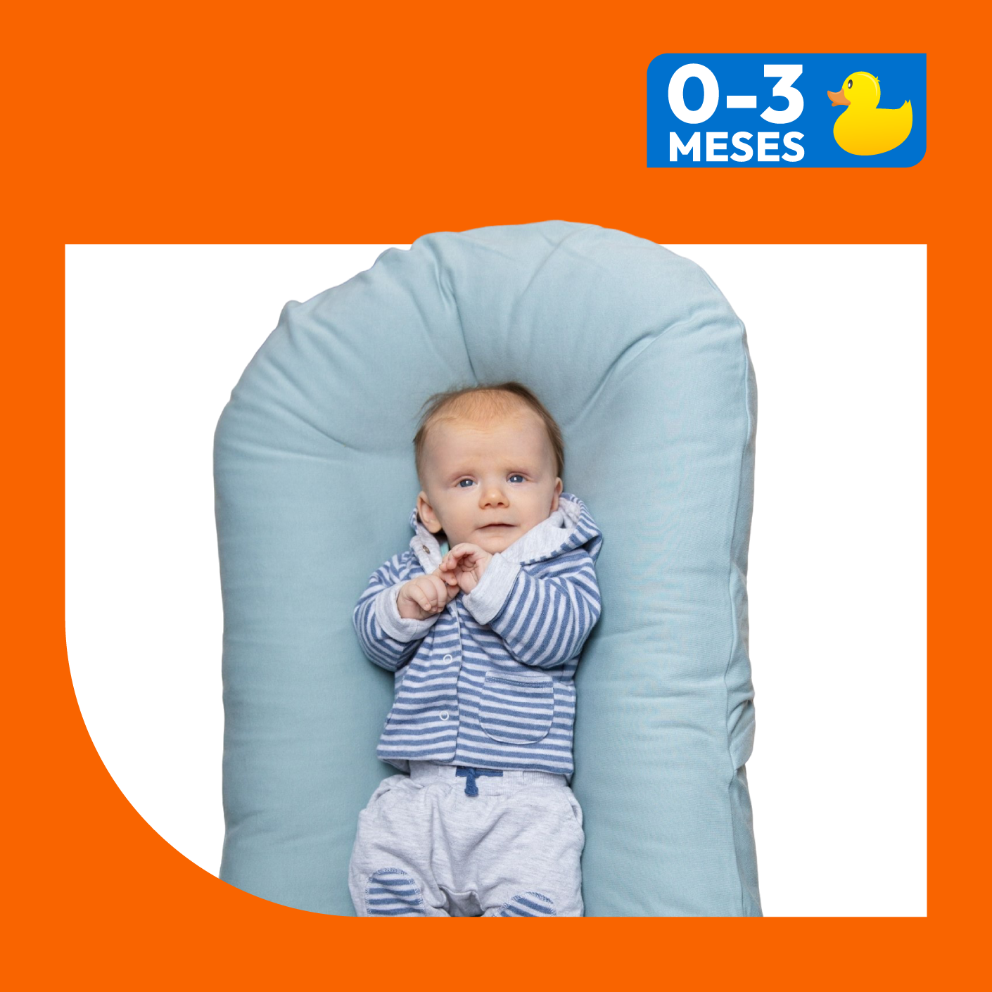 o a 3 meses